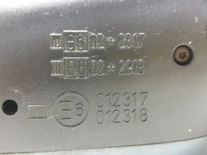 Volkswagen Sharan (2000 - 2003) E6012317 Боковое зеркало с электроприводом — фото 5