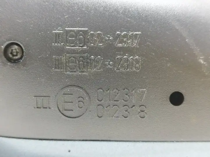 Volkswagen Sharan (2000 - 2003) E6012317 Боковое зеркало с электроприводом — фото 2