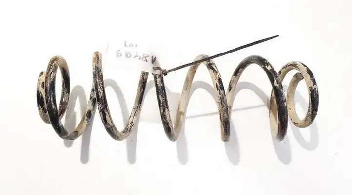 Citroen C4 (2004 - 2008)   Пружина