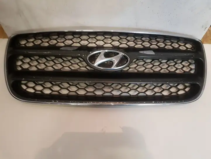 Hyundai Santa Fe (2005 - 2009) Верхняя решетка радиатора — фото 1