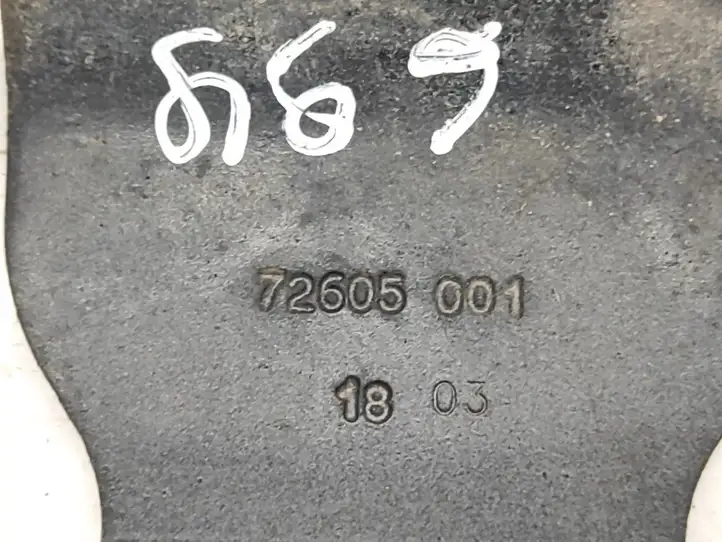 Citroen C3 (2002 - 2009) 72605001 Петли крышки багажника — фото 5