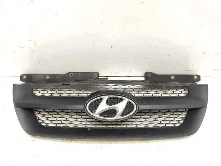 Hyundai Sonata (2003 - 2007) 863513K000 Верхняя решетка радиатора — фото 1