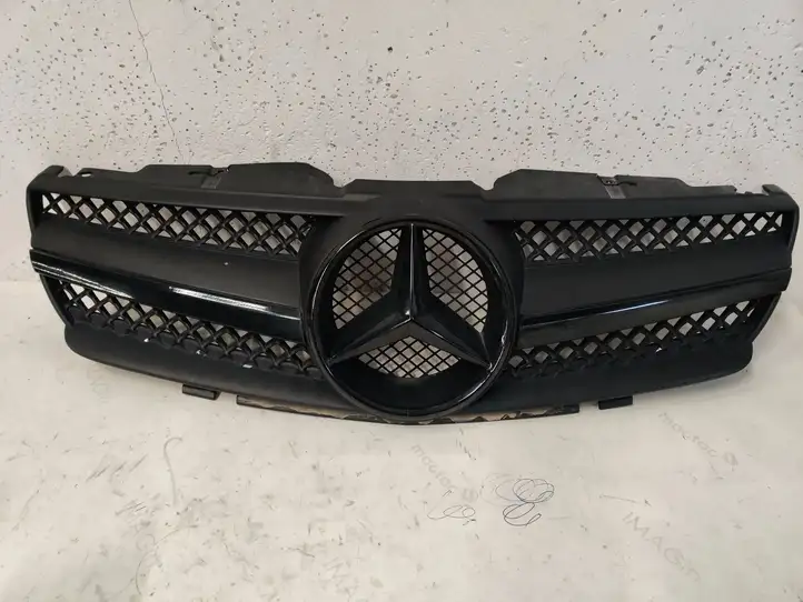 Mercedes-Benz SL R230 (2001 - 2012) A2078880260 Верхняя решетка радиатора — фото 1