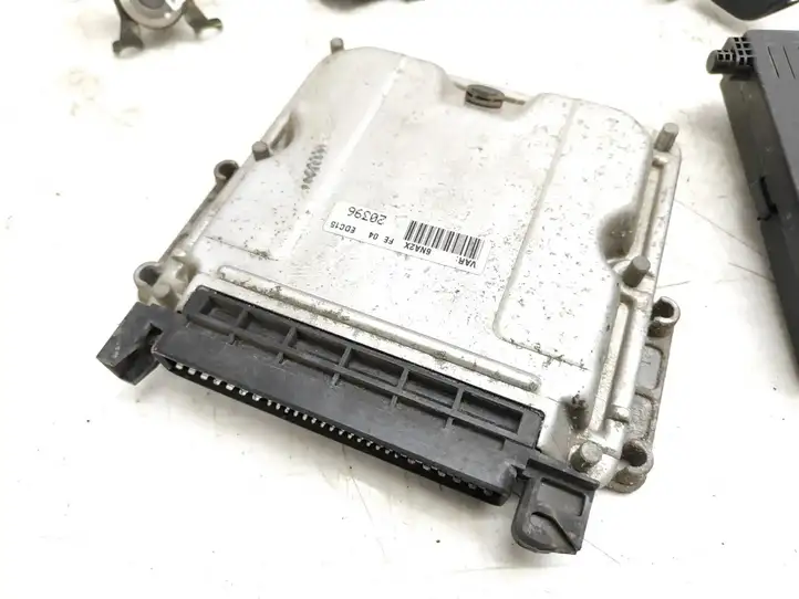 Citroen Xsara Picasso (1999 - 2012) 0281010137 Комплект системы зажигания — фото 6