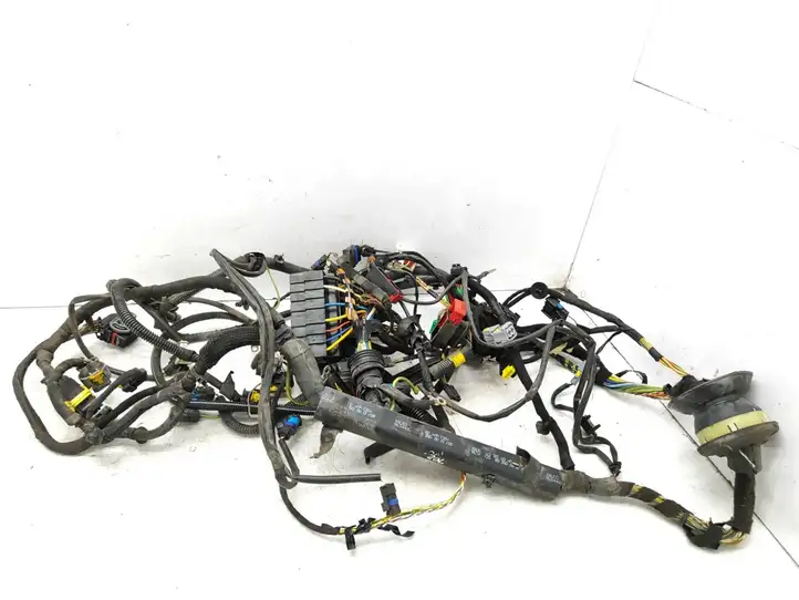 Citroen C2 (2008 - 2014) 9661439580 Прочая электропроводка — фото 3