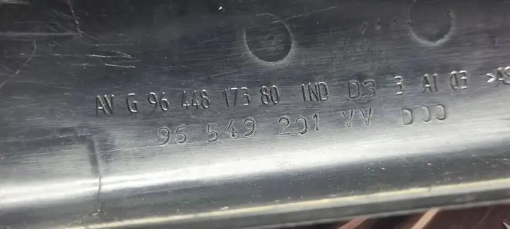 Peugeot 206 (1998 - 2012) 9644817380 Крышка рейлинга — фото 4