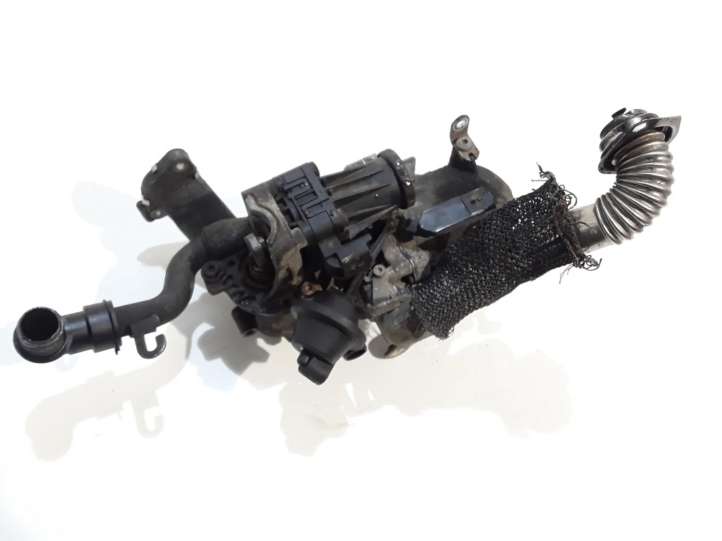 50563902 Ford Focus EGR aušintuvas