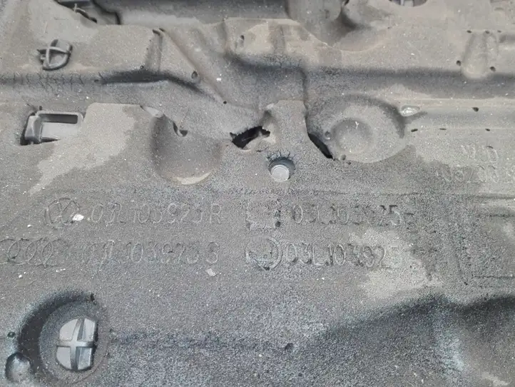Audi Q3 8U (2011 - 2014) 03L103923R Крышка двигателя декоративная — фото 3