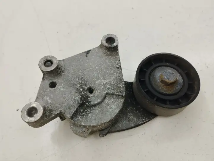 Citroen DS4 (2010 - 2016) Натяжитель ремня ГРМ — фото 1