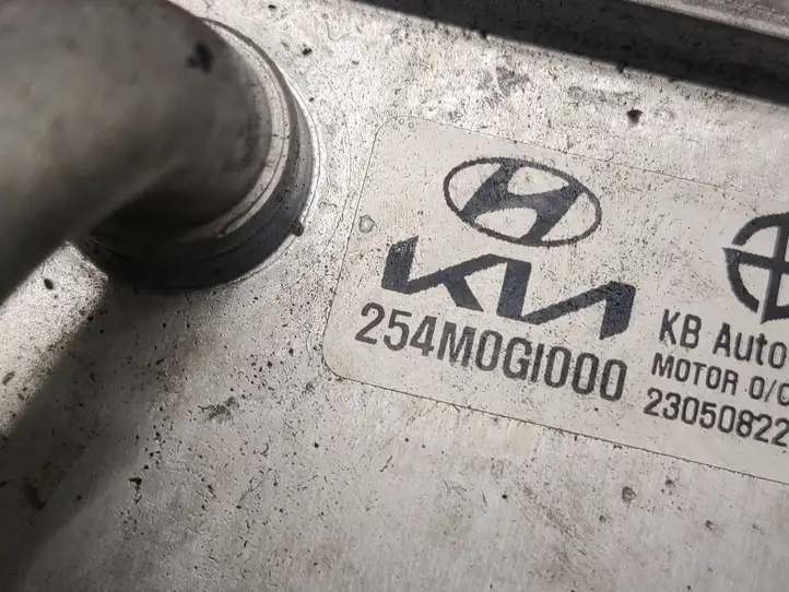 Kia EV6 (2021 - ) 254M0GI000 Охладитель электродвигателя — фото 2