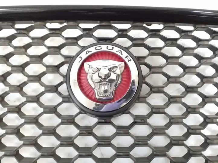 Jaguar F-Type (2013 - ) HK83018K28AA Передняя решетка — фото 2