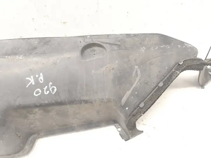 Renault Avantime (2001 - 2005) 6025402091 Прочие внешние детали — фото 3