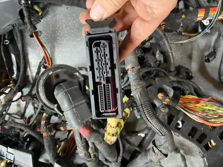Porsche Panamera (970) (2009 - 2013) 97055670300 Прочая электропроводка — фото 9