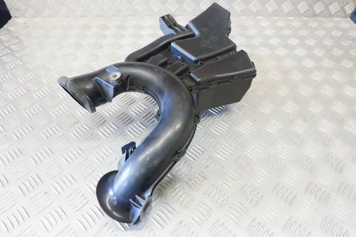 Nissan Juke I F15 (2010 - 2018) 70390758 Детали воздухозаборника — фото 9