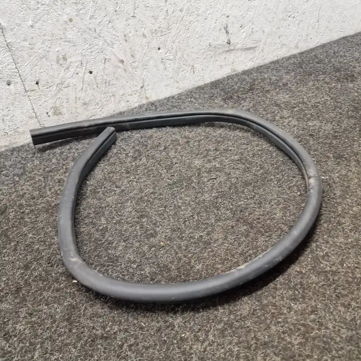 Mercedes-Benz AMG GT 4 x290 w290 (2018 - ) A1906970351 Уплотнитель передней двери — фото 1