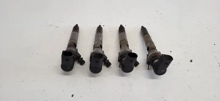Nissan Qashqai (2010 - 2013) 8200903034 Комплект жиклеров ГБО — фото 1