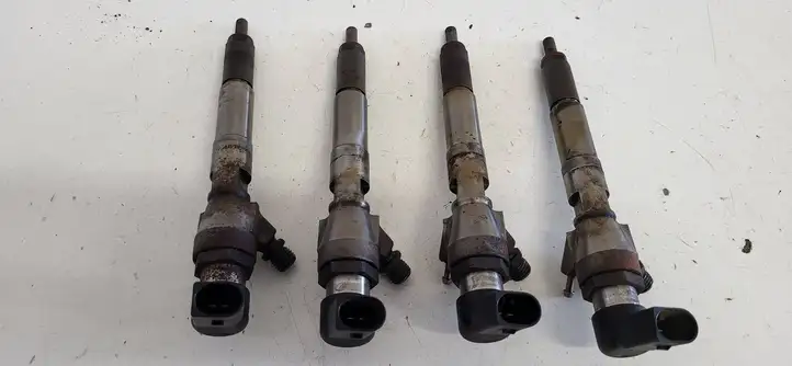 Nissan Qashqai (2010 - 2013) 8200903034 Комплект жиклеров ГБО — фото 2