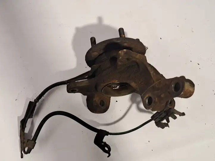 Lexus RX 350 (2006 - 2009)   Задний поворотный кулак (ступица, цапфа)