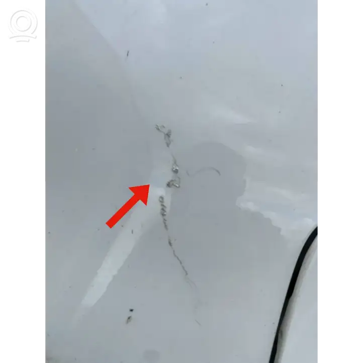 Mercedes-Benz W470    Кузов