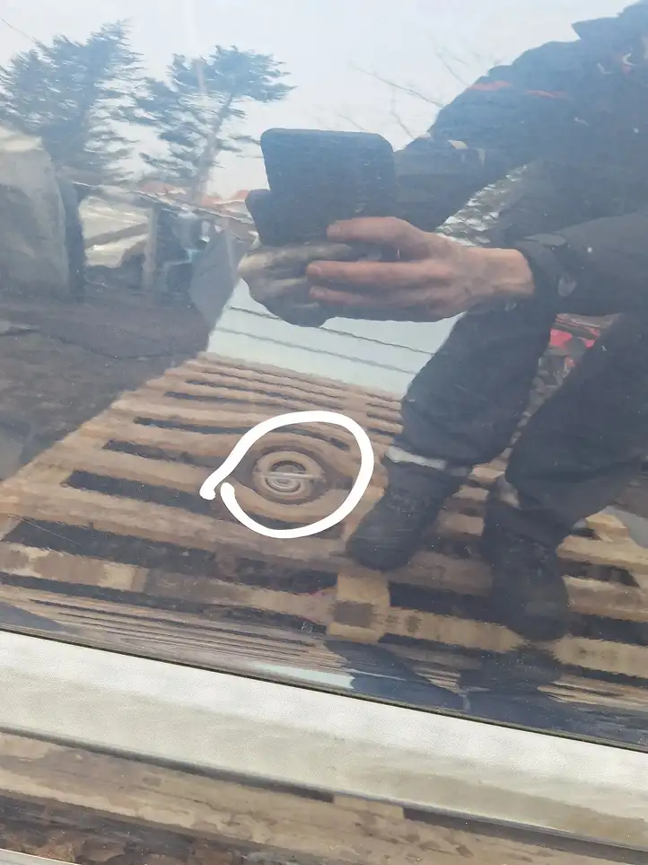 Peugeot 407 (2004 - 2011) Дверь — фото 2