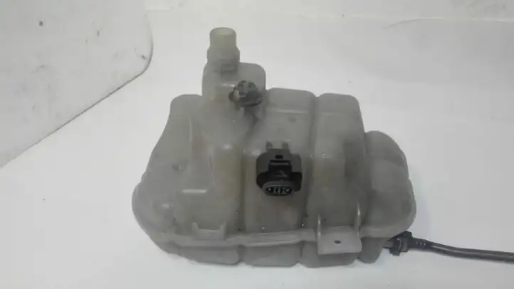 Audi A6 C7 (2011 - 2014) 4G0121403G Крышка расширительного бачка — фото 5