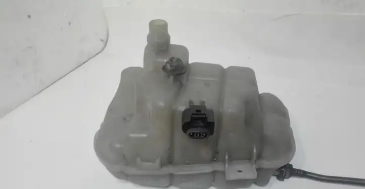 Audi A6 C7 (2011 - 2014) 4G0121403G Крышка расширительного бачка — фото 6