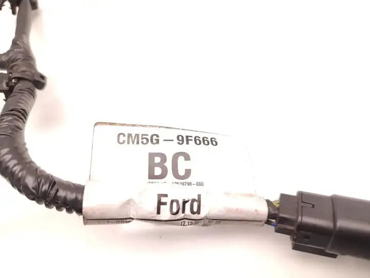 Ford Fiesta (2013 - 2017) CM5G-9F666-BC Проводка топливных форсунок — фото 6