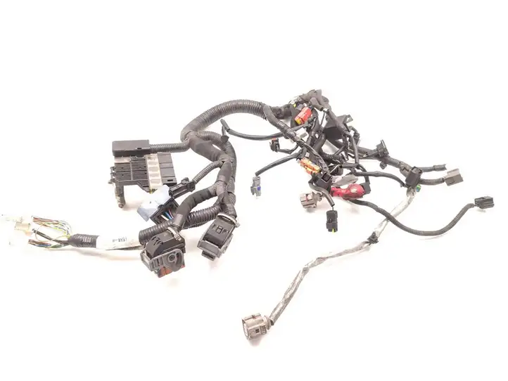 Nissan Qashqai (2006 - 2010) 24011BR02A Проводка двигателя — фото 4