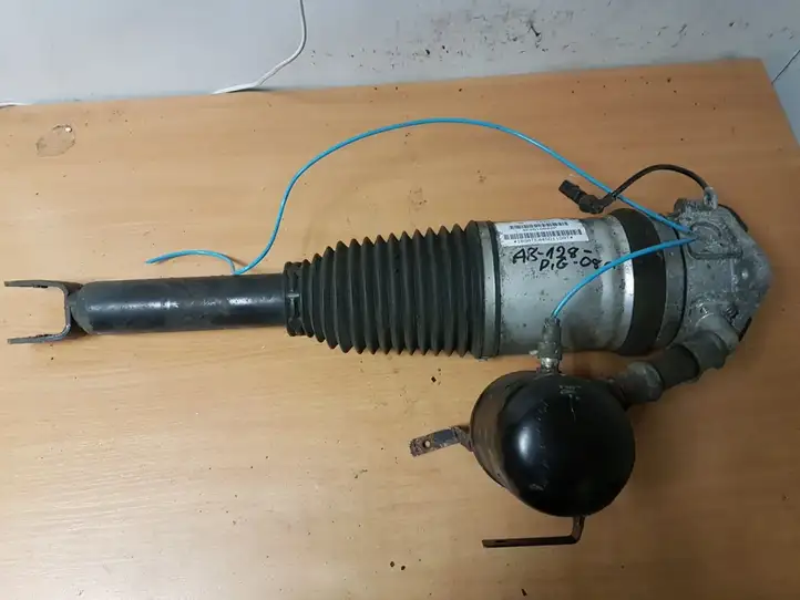 Audi A8 S8 D3 4E (2005 - 2007)  4E0616002P Задний амортизатор (пневмоподвеска)
