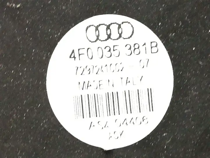 Audi A6 S6 C6 4F (2004 - 2008) 4F0035381B Динамики передних дверей — фото 3