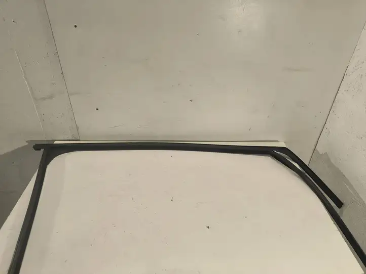 Ford Focus C-MAX (2003 - 2010) 3M51R21510 Уплотнитель стекла передней двери — фото 1