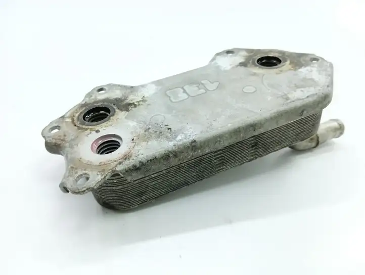 Toyota Corolla Verso AR10 (2004 - 2009) 157100R010 Кронштейн масляного фильтра — фото 1