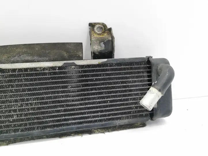 Lexus GS 300 350 430 450h (2004 - 2007) 2220700012 Дополнительный радиатор охлаждения — фото 4