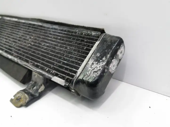 Lexus GS 300 350 430 450h (2004 - 2007) 2220700012 Дополнительный радиатор охлаждения — фото 9