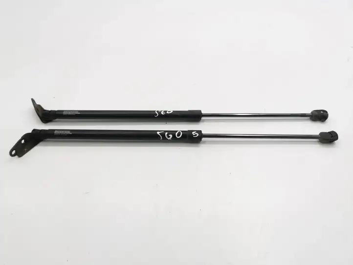 Nissan Murano Z50 (2002 - 2008) 1257394 Амортизатор крышки багажника — фото 1