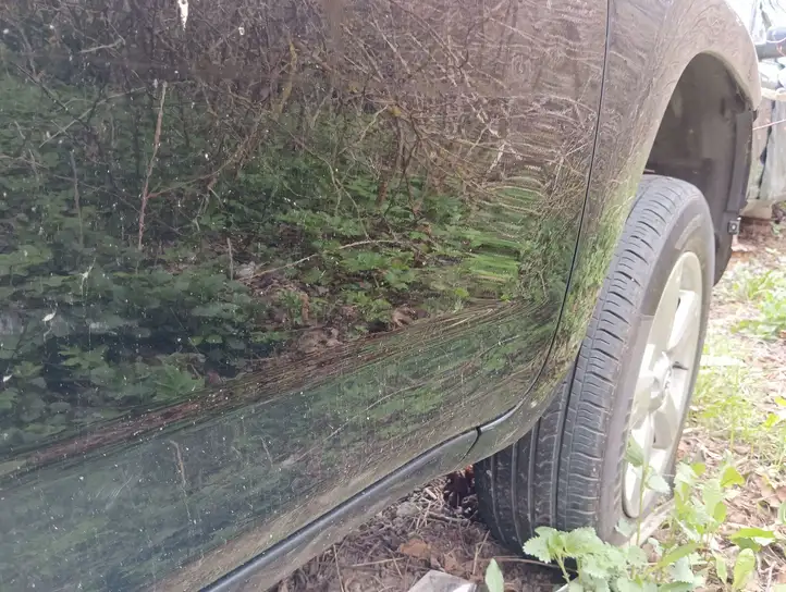 Toyota RAV 4 (XA30) (2006 - 2016) Дверь — фото 2