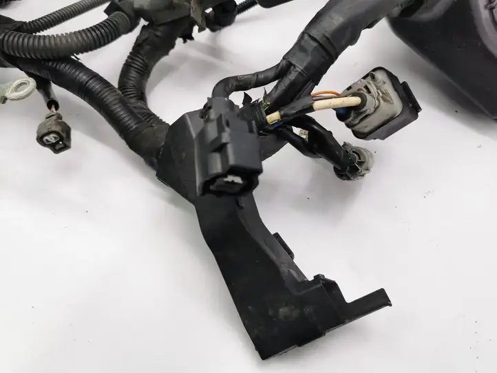 Toyota Corolla Verso AR10 (2004 - 2009) 821210F090 Проводка двигателя — фото 6