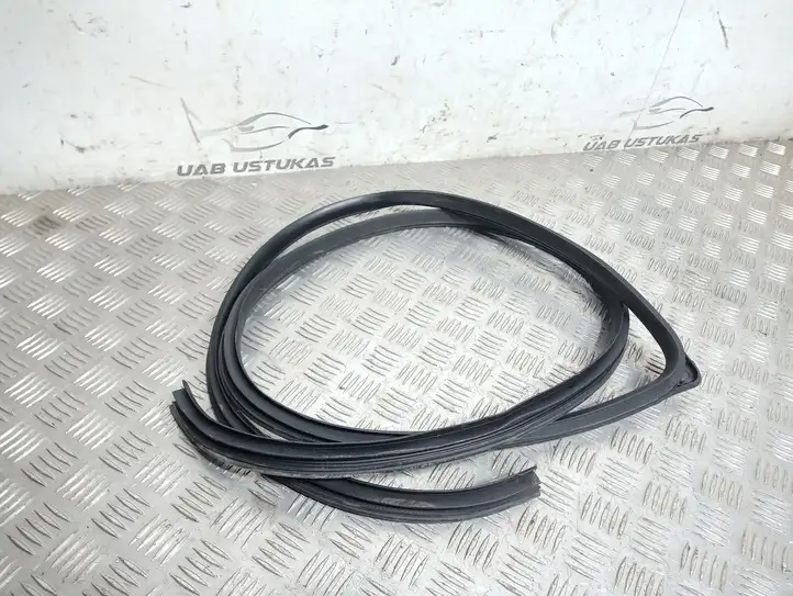 Kia Soul (2008 - 2011) Уплотнитель передней двери (кузов) — фото 2