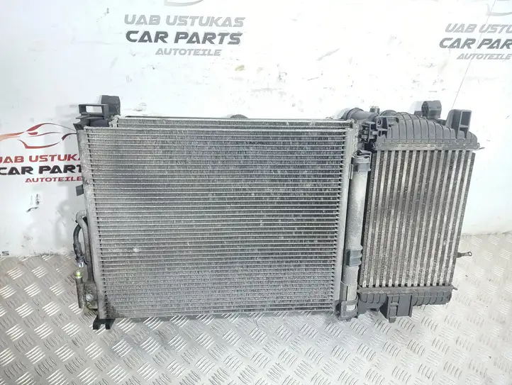 Opel Meriva B (2010 - 2014) 13332666 Комплект радиаторов охлаждения — фото 5