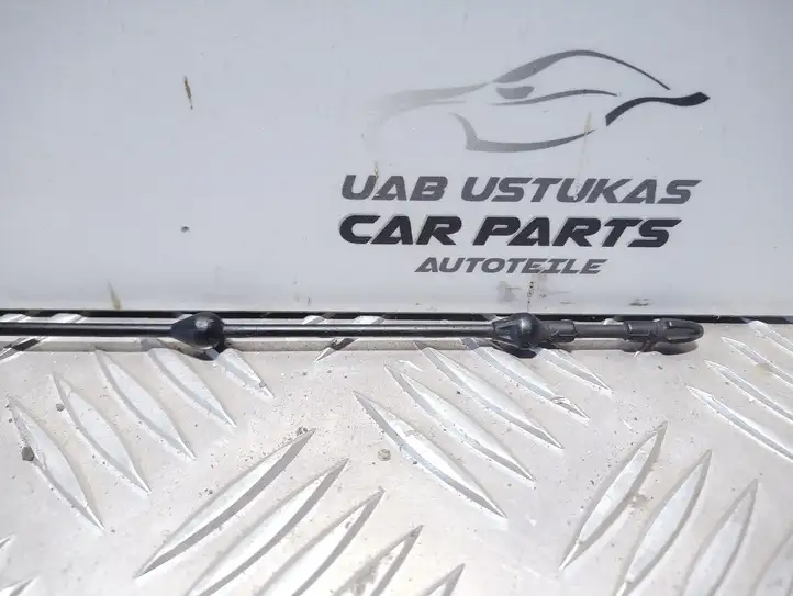 Volkswagen PASSAT B5.5 (2001 - 2005) 03G115611P Измеритель уровня масла — фото 3