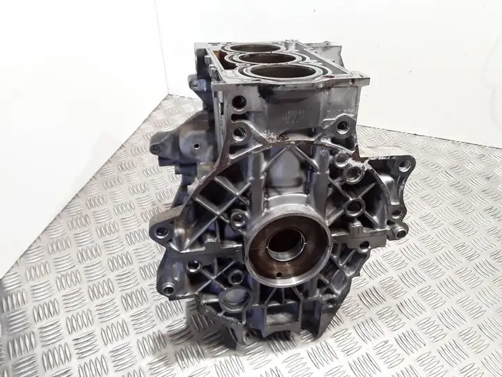 Volkswagen Polo V 6R (2009 - 2015) 03D103019M Блок двигателя — фото 4