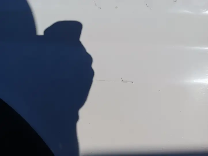 Fiat Ducato (2014 - ) NOCODE Дверь — фото 2