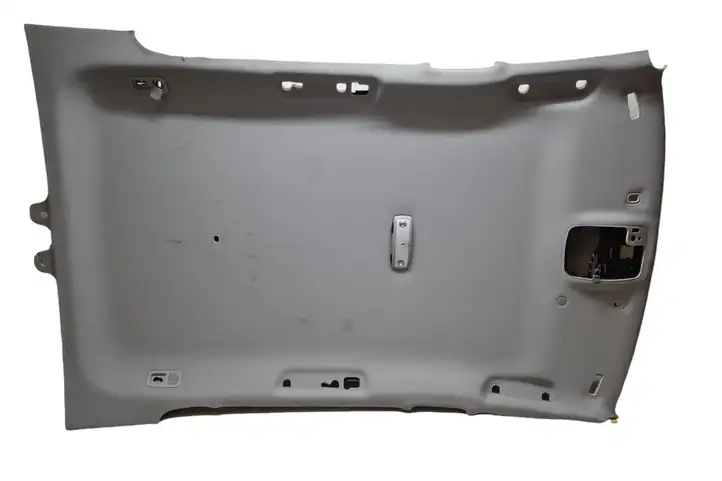 Volvo V60 (2010 - 2013) 39804247 Потолочная обшивка — фото 1