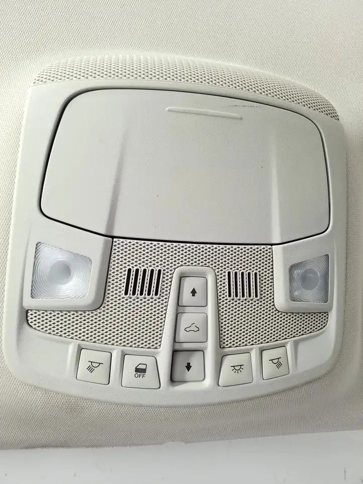 Ford Fusion II (2013 - ) Потолочная обшивка — фото 6