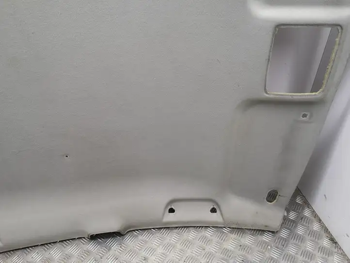 Toyota Corolla Verso AR10 (2004 - 2009) Потолочная обшивка — фото 8