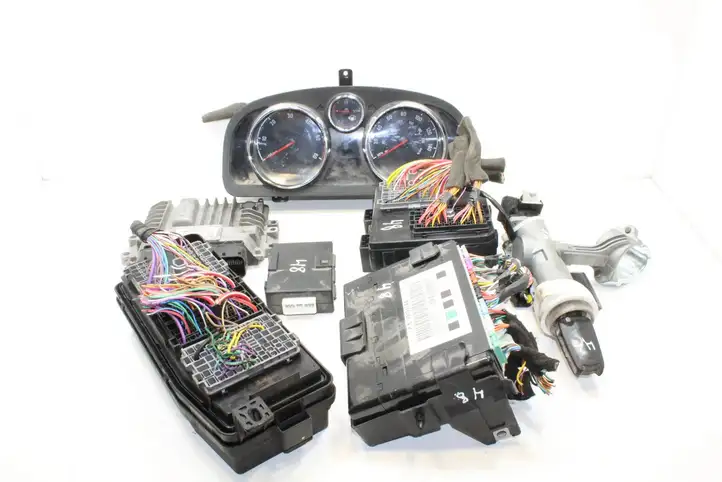 Opel Antara (2011 - 2017) 25189813 Комплект системы зажигания — фото 1