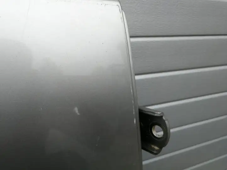 Nissan X-Trail T30 (2001 - 2007) Задняя дверь — фото 4