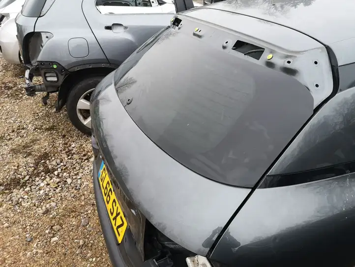 Citroen C4 Cactus (2017 - ) Крышка багажника — фото 5