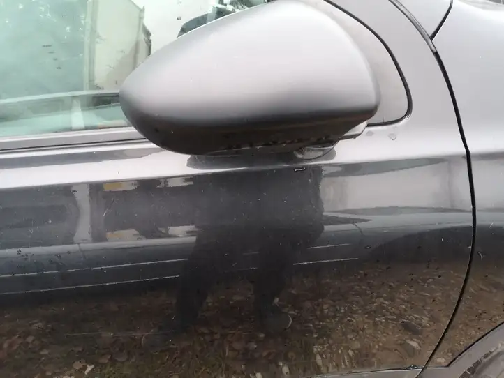 Nissan Qashqai (2006 - 2010) Дверь — фото 3