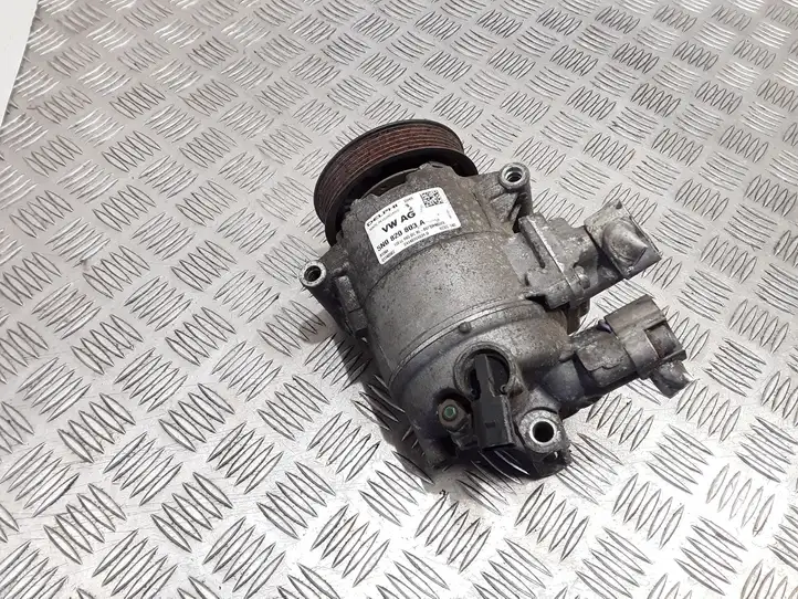 Seat Altea (2004 - 2009) 5N0820803A Компрессор (насос) кондиционера воздуха — фото 4
